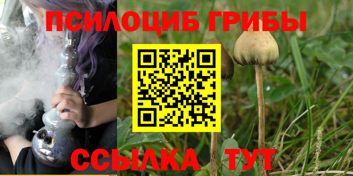 Лениногорск  Псилоцибиновые грибы мухоморы  Вход с VPN 